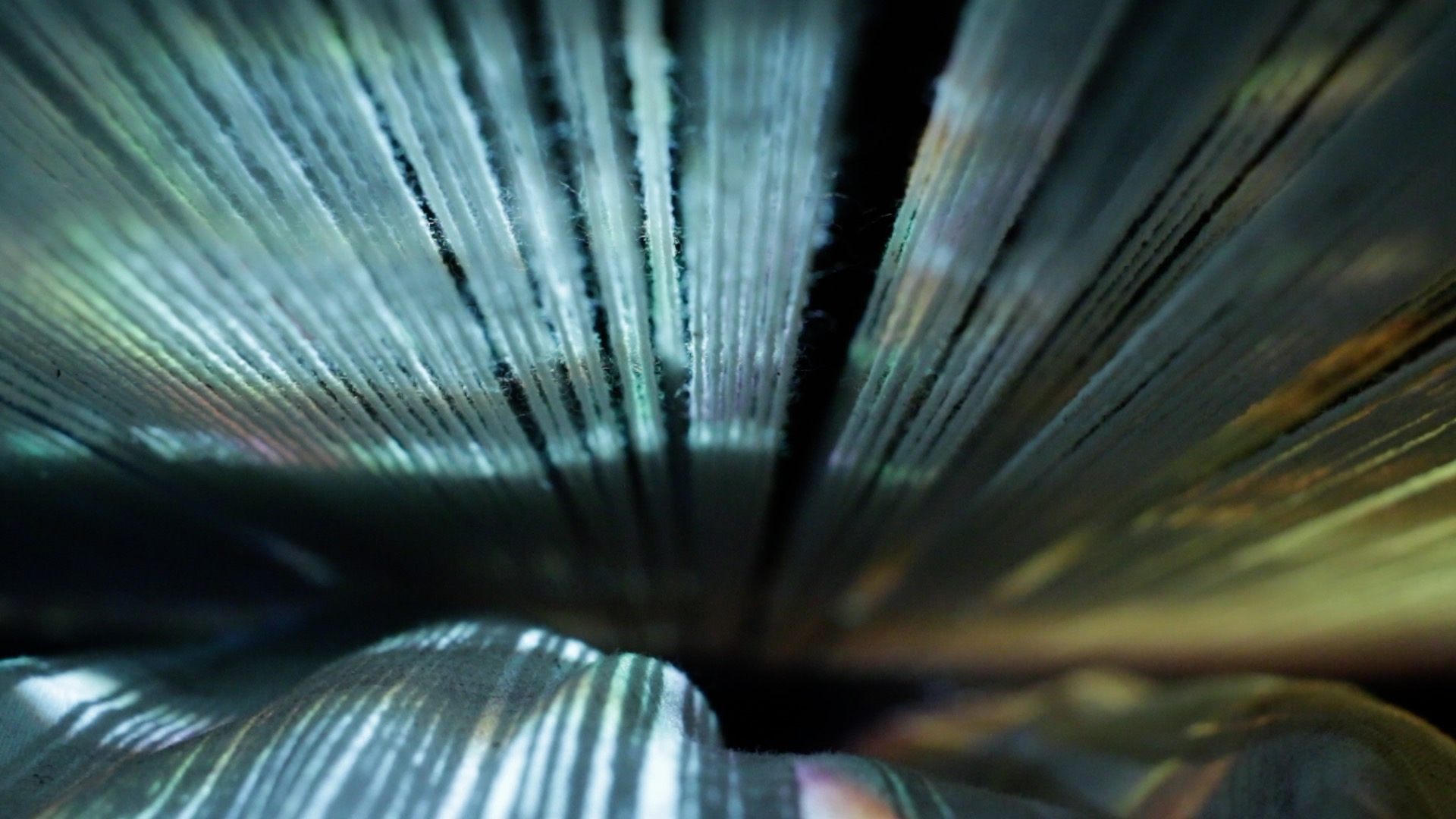 Still from  ()