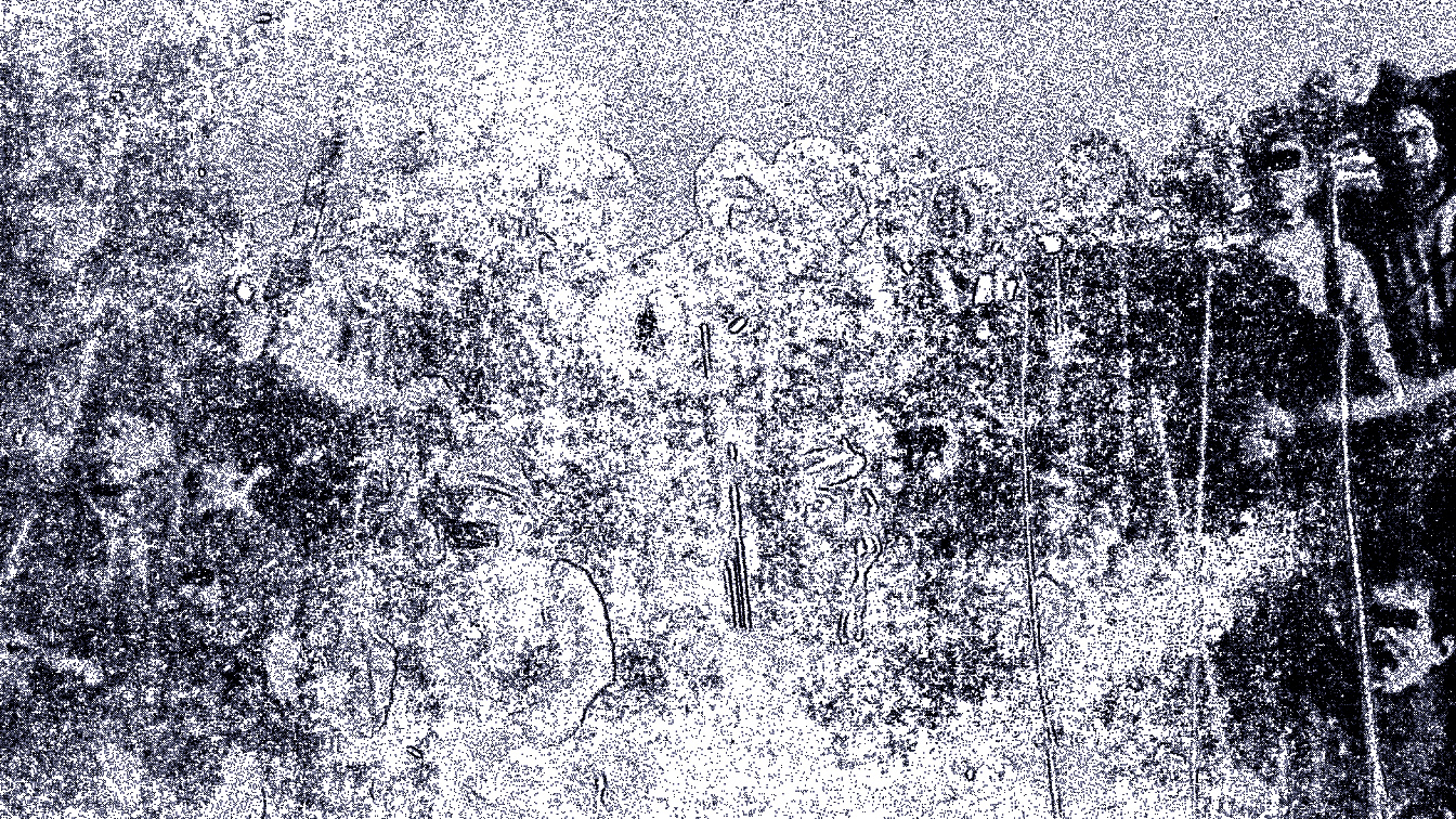 Still from Scan 4 (اسکن ۴)
